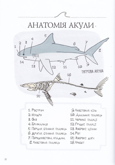 Anatomy of the Ocean. Incredible Places and Parts of the World Hidden Underwater