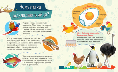 Why are you so cute? Animals