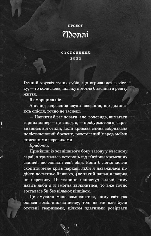 Var är Molly? - 9786175483695