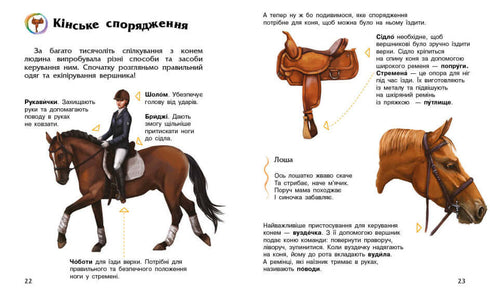 Encyclopedia of Preschoolers. Horses