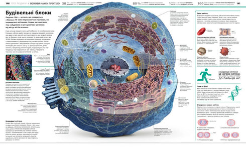 Енциклопедія знань