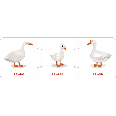 Logiska kedjor. Babydjur och deras familjer