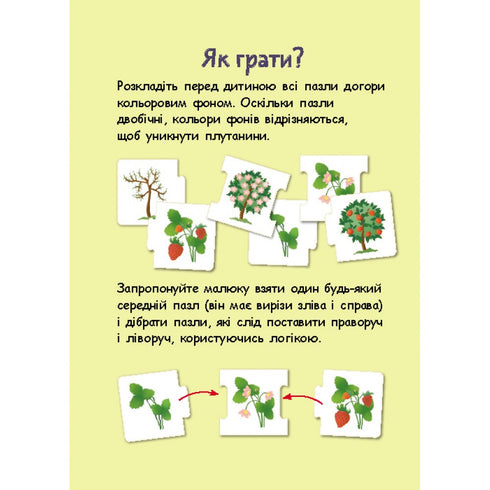 Logical chains. Animals and plants. Stages of development