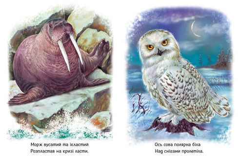 Små barn om djur. Djur i världen