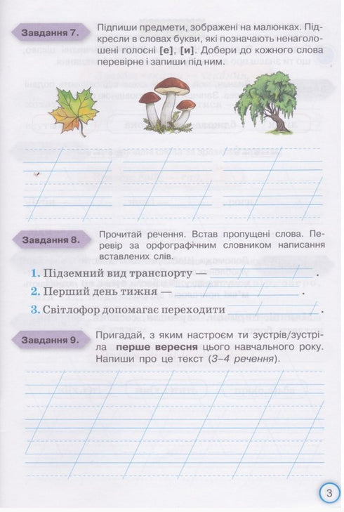 My achievements. Thematic diagnostic works on the Ukrainian language. 3rd grade