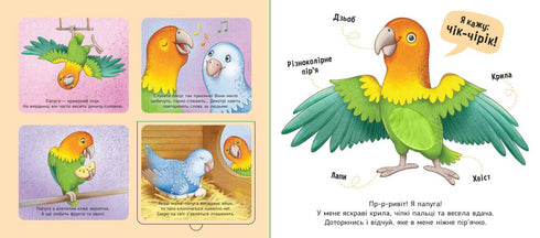 Mina favoriter - 9789667511920