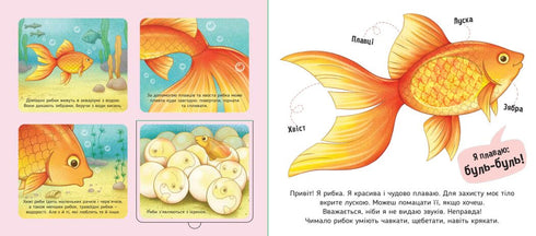 Mina favoriter - 9789667511920