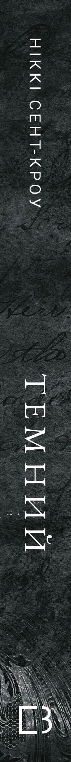 Lösaktiga förlorade pojkar. Bok 2: Mörk - 9786175483534