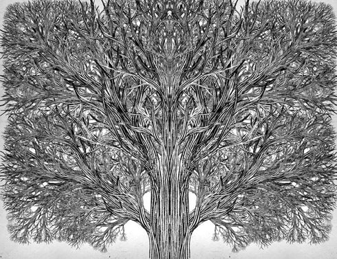 Skola för gott och ont. Den ende sanne kungen. Bok 6