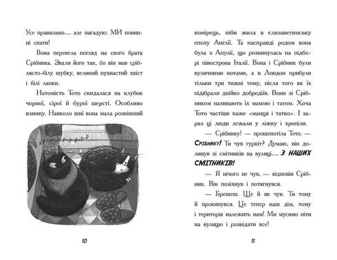 Toto. The Ninja Cat and the Great Snake Escape. Book 1