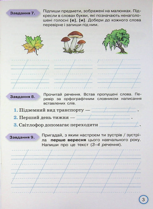 Your achievements. Thematic diagnostic works in Ukrainian language. Grade 3 - 9789669913951