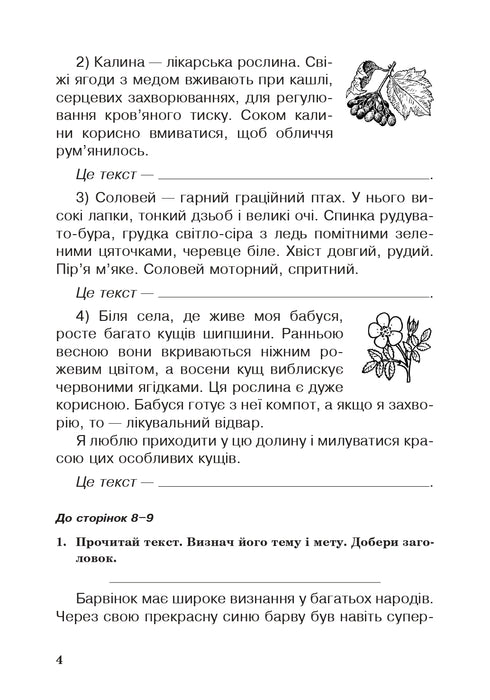 Українська мова. 3 клас. Робочий зошит (до підручн. Вашуленко, Васильківська, Дубовик) НУШ