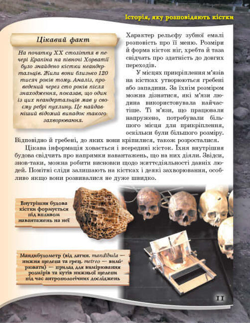 Від мавпи до людини