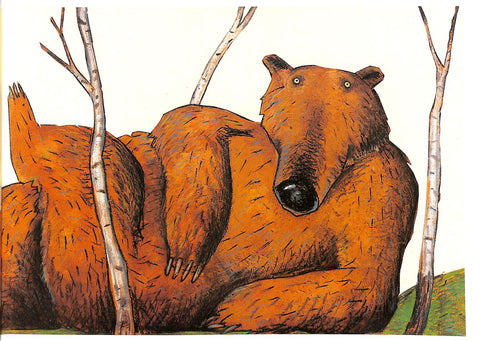 Björnen är ett mirakel