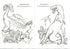 Planet of Dinosaurs. Coloring Book. Part 2