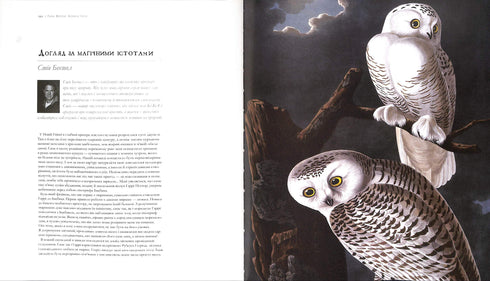 Harry Potter. Magins historia