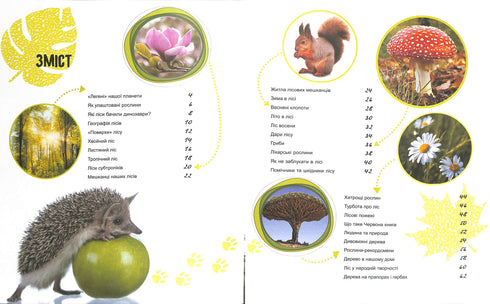 Världen och dess hemligheter: Skogens liv