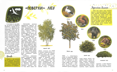 Världen och dess hemligheter: Skogens liv