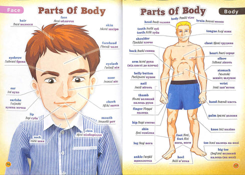 Picture Dictionary. English-Ukrainian Dictionary for Younger Students