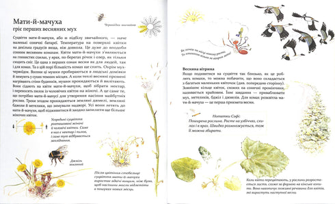 Expedition med myran Sophie. Vi utforskar naturen omkring oss