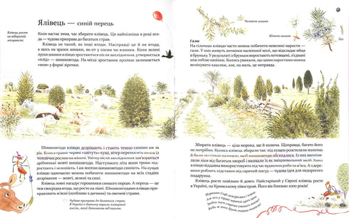 Expedition med myran Sophie. Vi utforskar naturen omkring oss