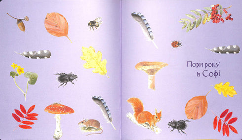 Expedition med myran Sophie. Vi utforskar naturen omkring oss