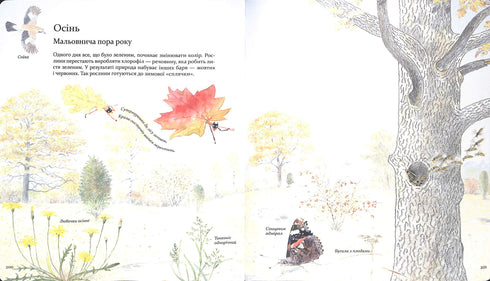 Expedition med myran Sophie. Vi utforskar naturen omkring oss