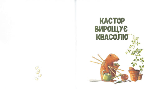 Kastor är en mästare på alla sätt: han pratar om instrument och lär ut hur man använder dem. 7 berättelser i en bok