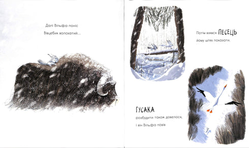 Вовк шукає шлях до зграї