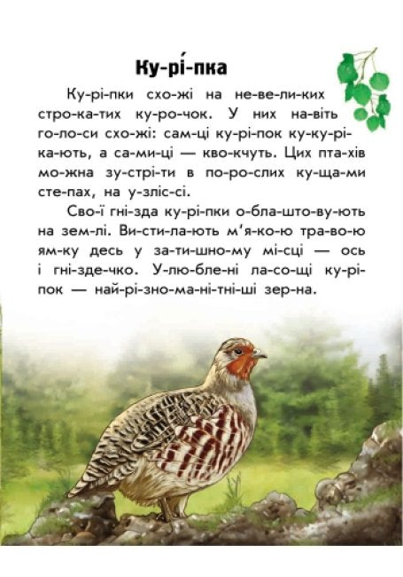 Моя Україна. Читаємо по складах: Тваринний світ лугів і степів
