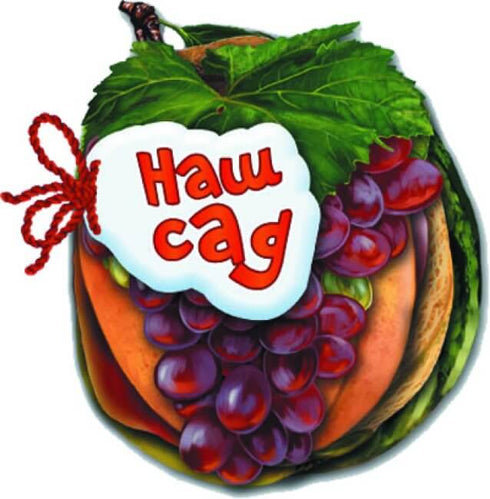 vidhadaj no nash sad