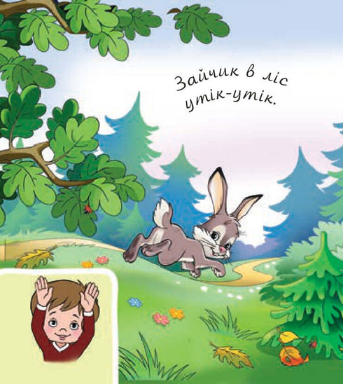 Animals in the forest